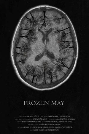 Frozen May (2017) poster