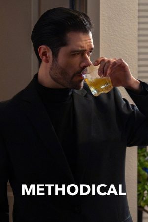 Methodical (2026) poster