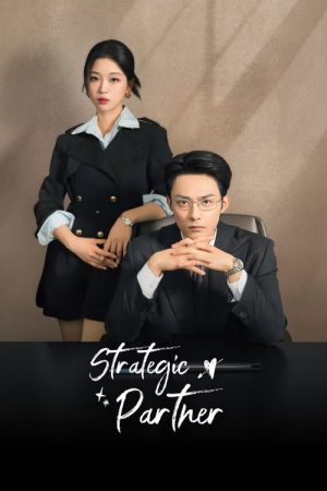Strategic Partner (2026) poster