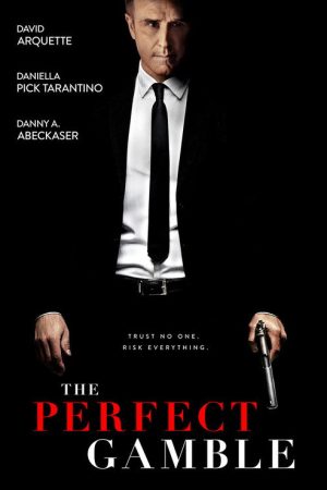 The Perfect Gamble (2025) poster