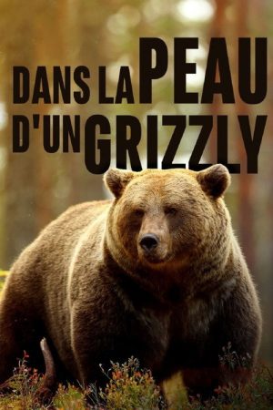Grizzlys hautnah (2018) poster
