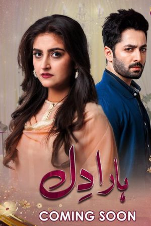 Haara Dil (2018) poster