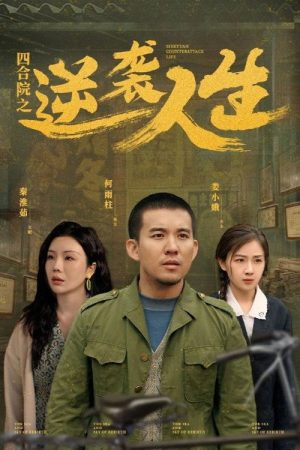 四合院之逆袭人生 (2025) poster