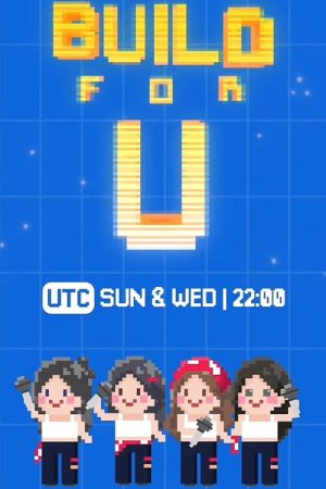 Build For U (2025) poster