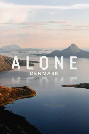 Alone Denmark (2017) poster