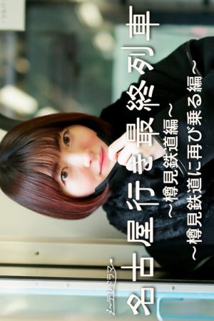 The Last Train Bound for Nagoya – Tarumi Line Spinoff – (2022) poster