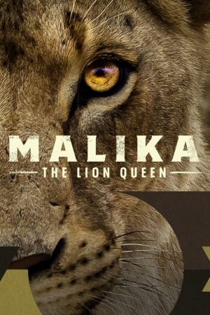 Malika the Lion Queen (2021) poster