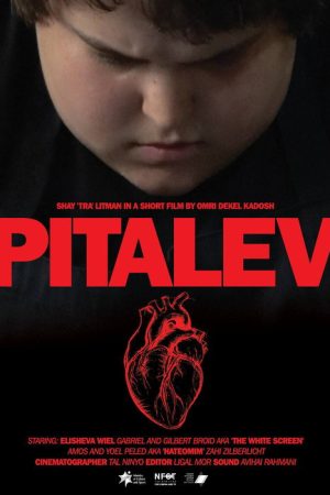 Pitalev (2018) poster