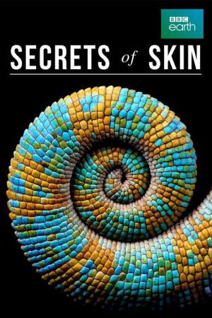 Secrets of Skin (2019) poster