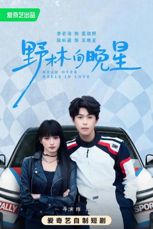 野林向晚星 (2026) poster