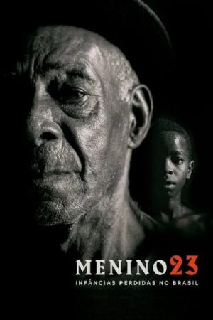 Boy 23: The Forgotten Boys of Brazil (2016) poster