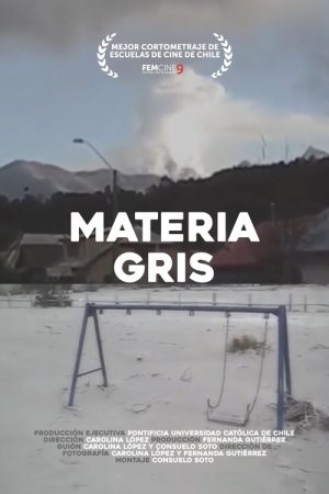 Grey Matter (2019) poster