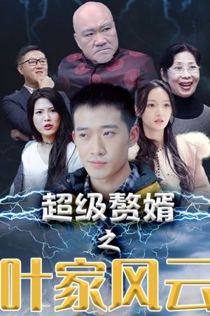 超级赘婿之叶家风云 (2023) poster