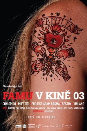 FAMU v kině 03 (2022) poster