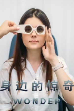 身边的惊奇 (2020) poster