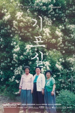 Gipeusil (2018) poster