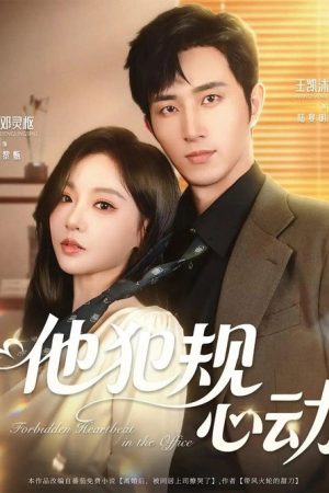 他犯规心动 (2025) poster