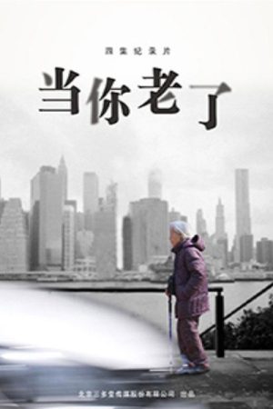 当你老了 (2016) poster