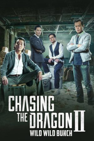 Chasing the Dragon II: Wild Wild Bunch (2019) poster