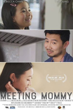 Meeting Mommy (2017) poster