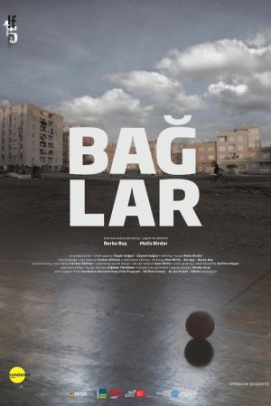 Baglar (2016) poster
