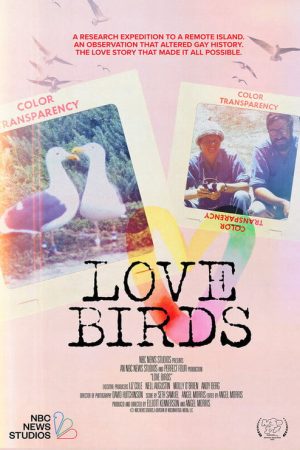 Love Birds (2025) poster