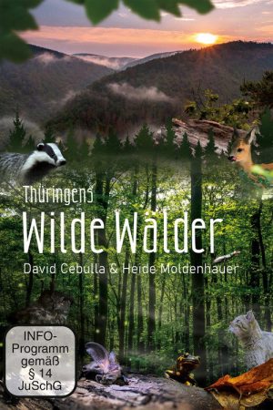 Wild Forests (2022) poster