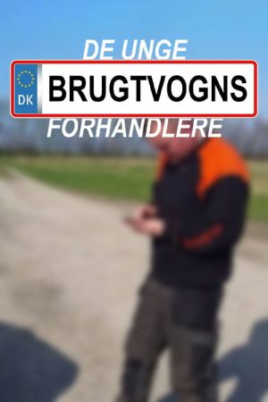 De unge brugtvognsforhandlere (2017) poster