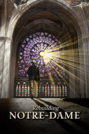 Rebuilding Notre-Dame (2020) poster