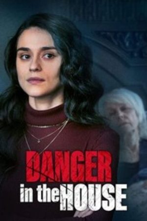 Danger in the House (2022) poster