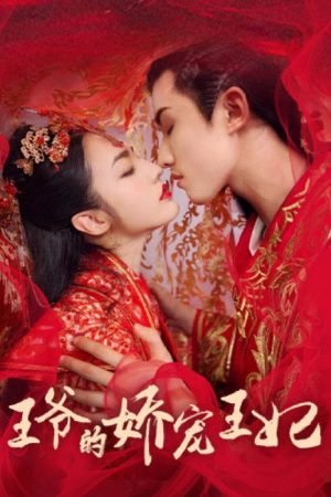 王爷的娇宠王妃 (2021) poster