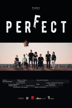 Perfect (2020) poster