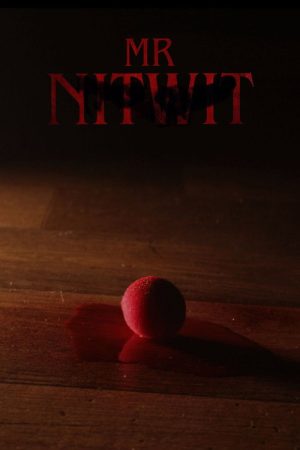 Mr Nitwit (2026) poster