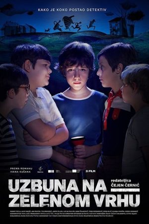 The Mystery of Green Hill (2017) poster
