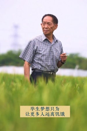 杂交水稻之父袁隆平 (2021) poster