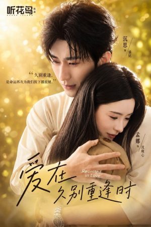 爱在久别重逢时 (2026) poster