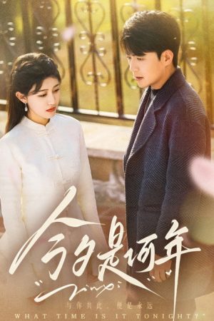 今夕是何年 (2025) poster