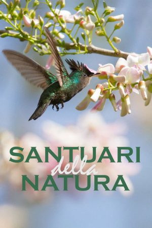 Santuari della natura (2022) poster