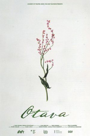 Otava (2021) poster