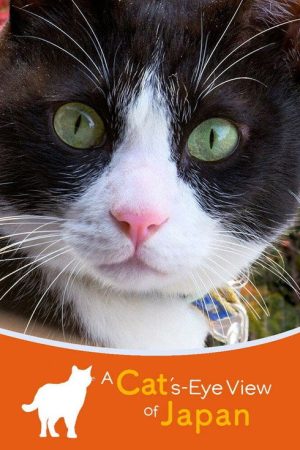 A Cat’s-Eye View of Japan (2022) poster