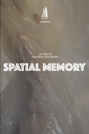 Spatial Memory (2022) poster