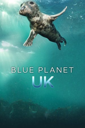 Blue Planet UK (2019) poster