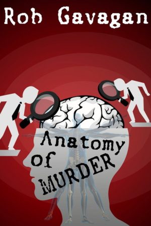 Anatomy Of Murder (2016) poster