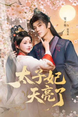 太子妃天亮了 (2026) poster