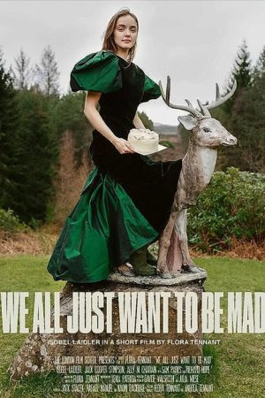 We All Just Want to Be Mad (2020) poster