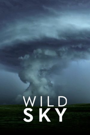 Wild Sky (2025) poster