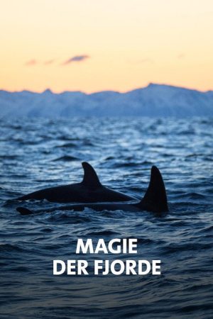 NORWAY´S MAGICAL FJORDS (2020) poster