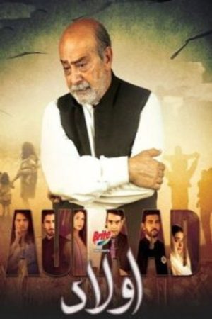 Aulaad (2020) poster