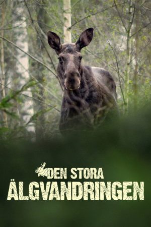Den stora älgvandringen (2019) poster