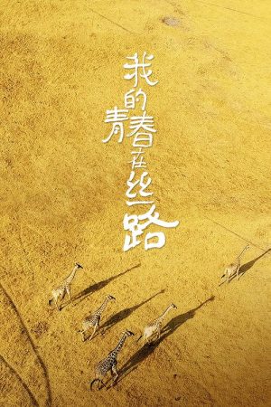 我的青春在丝路 (2018) poster